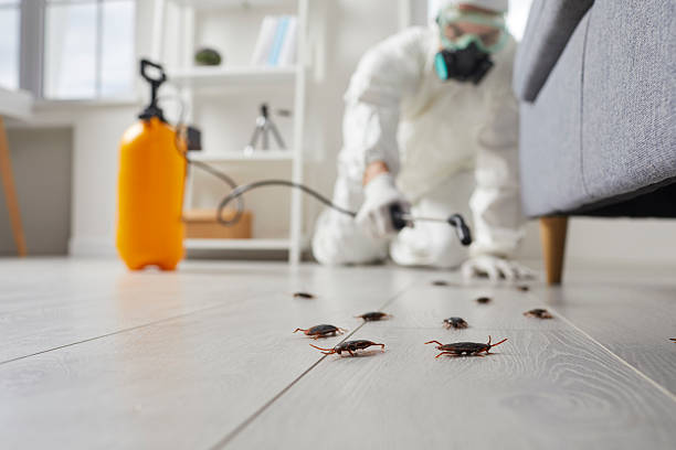 Commercial Kitchen Cockroach Control in Boothwyn